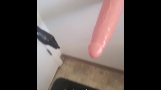 huge dildo stuck to wall