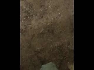 Release into the Wild