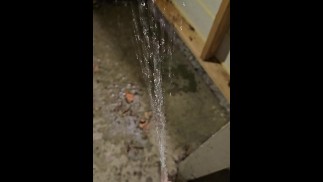 Quick public piss outside my apartment