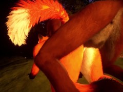 Playful Foxes  ( Wild Life )