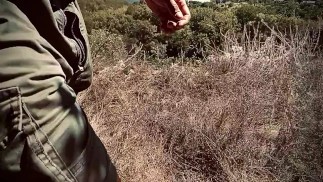 my dick wanted to get some fresh air on top of a cliff