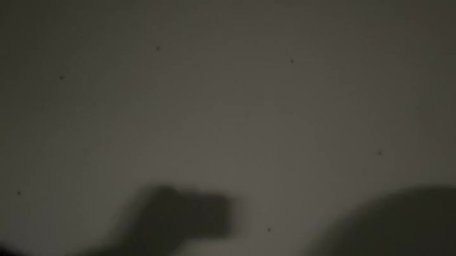 Shadowdick
