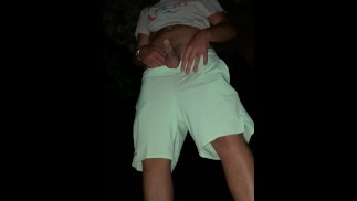 Nice jerk off in the park at night