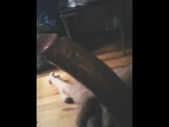JAMAICAN SOLO MALE BBC LONG DICK STROKE