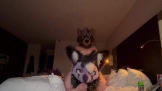 Fucking furry girlfriend doggystyle front view