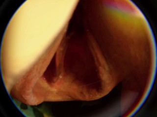 Моя киска на присоске