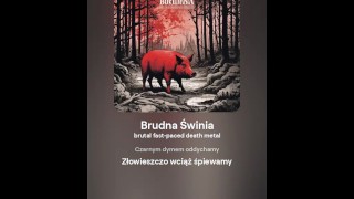 Brudna Świnia