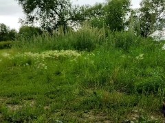 Русская жена села на дилдо! Потом это заметил местный рыбак - Screenshot 8 of 16 - Nude By The River