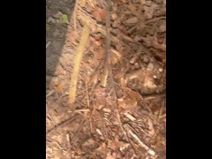 College Boy Mid Day Piss in the Woods - Dane Coxx