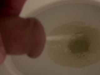 Guy Takes a Piss in the Toilet