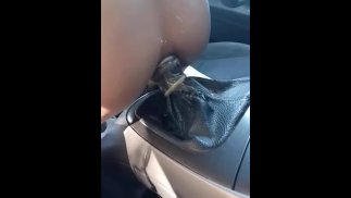 Anal shifter
