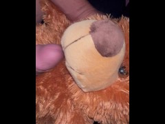 Humping Teddy