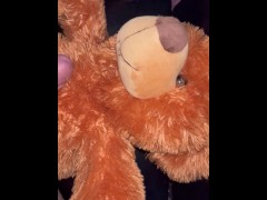 Humping Teddy - Screenshot 4 of 16 - Teddy Bear