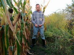 The farmer pees several times in different places in the field