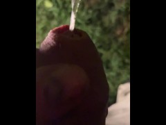 Pissing in the restaurant’s garden