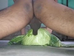 Pakinoon Playing With Cabbage With His Horny Big Cock And Balls For Dream 2 Please CUMS