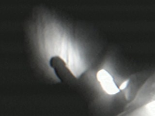 Свобода воли над собственным телом