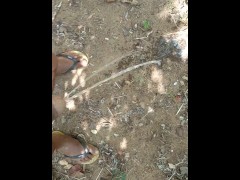 බිජ්ජ පැලෙන්න වගේ කාටද ඕන - Screenshot 3 of 16 - Asian Guy