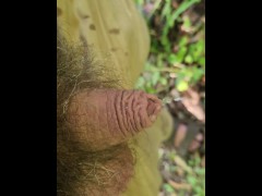 Pissing outside - Screenshot 14 of 16 - Desperate