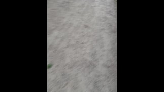 Mistress orders slave boy to Exhibitionism cock & balls on public pathway