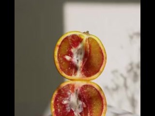 Фруктовое время