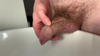 Haariger Papa Bär pisst