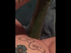 Cucumber cold fun - Screenshot 15 of 16 - Horny Girl