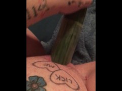 Cucumber cold fun - Screenshot 16 of 16 - Cucumber In Pussy