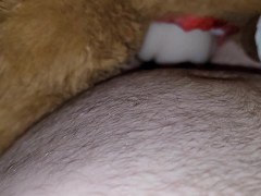 Teddy babes get fucked and cummed on