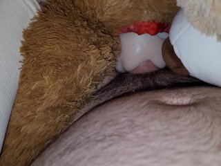 Teddy babes get fucked and cummed on