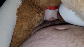 Teddy babes get fucked and cummed on