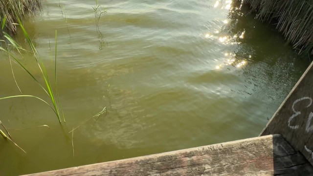 DICKFLASH: Girl at the Lake can't believe I'm jerking off infront ...