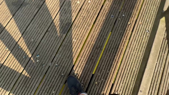 DICKFLASH: Girl at the Lake can't believe I'm jerking off infront ...
