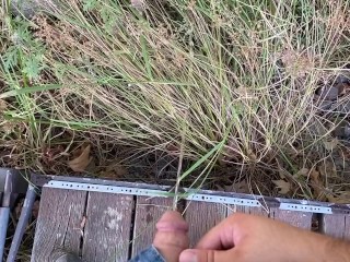 Заблудиться в лесу и поймать толстяка на тропе