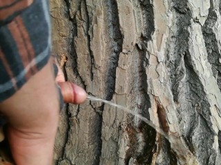 Публичная подборка мочеиспускания на природе