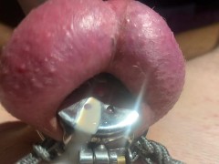 Sissygasm Cumshot Compilation - Screenshot 14 of 16 - Chastity Tease