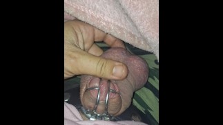 Swollen balls in chastity