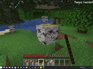 i play minecraft