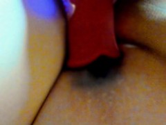 縞パンはいた女のおもちゃオナニー。