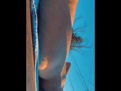 Backyard Shenanigans - Screenshot 11 of 16 - Outdoors