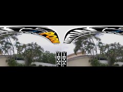 VIRTUAL PORN - Anya Olsen And Danny Steele Have Hot Naughty Public Sex At The Pool