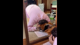 Drinking from my doggy bowl