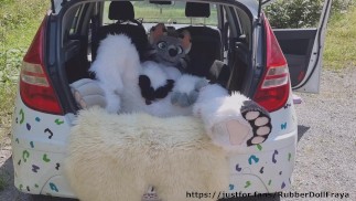 Voiture moelleuse avec plaisir