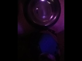 Pup was Thirsty so he Gave himself a little Treat