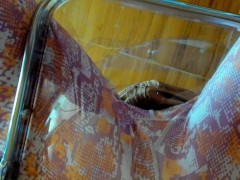 レギンス姿の日本人女性の黄色いおしっこ。 - Screenshot 2 of 16 - 放尿