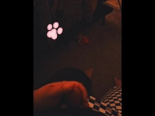 Puppy Cock Playtime
