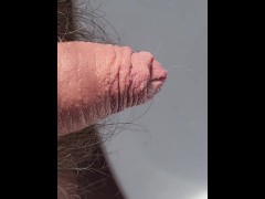 Close up peeing in the kitchen