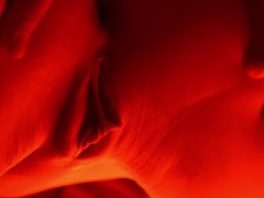 Sensual massage with oil and fingering close up, music video
