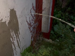 Pee art on a wall