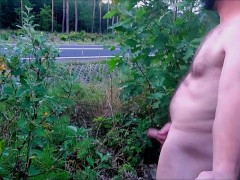 Risky, naked on a busy road, flashing penis at cars.